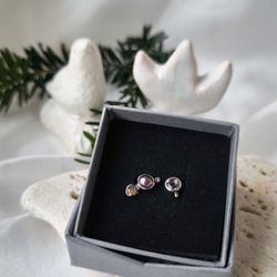 Rasa ir gudobelės uoga